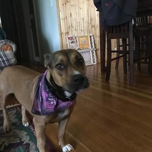 Meet your Posher, Logan